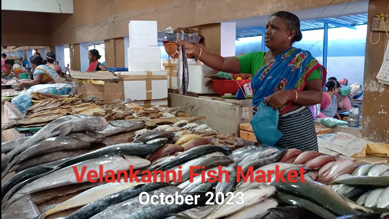Velankanni Fish Market | Nagapattinam Tamil Nadu | India