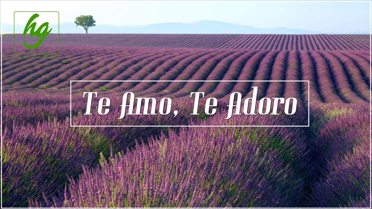 TE AMO, TE ADORO | Hnos. Medina ft. Joel Herrera | LLDM