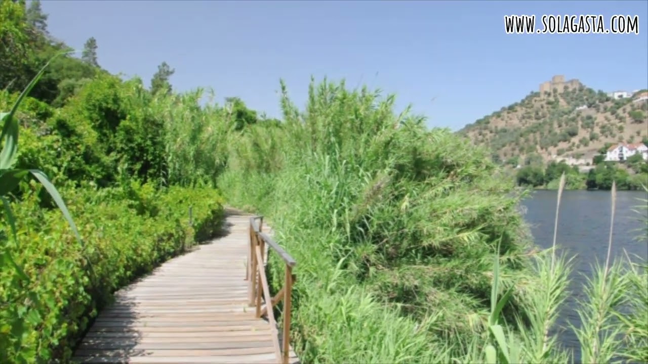 Passadiço do Alamal - Caminhar com o Tejo aos Pés (Gavião)