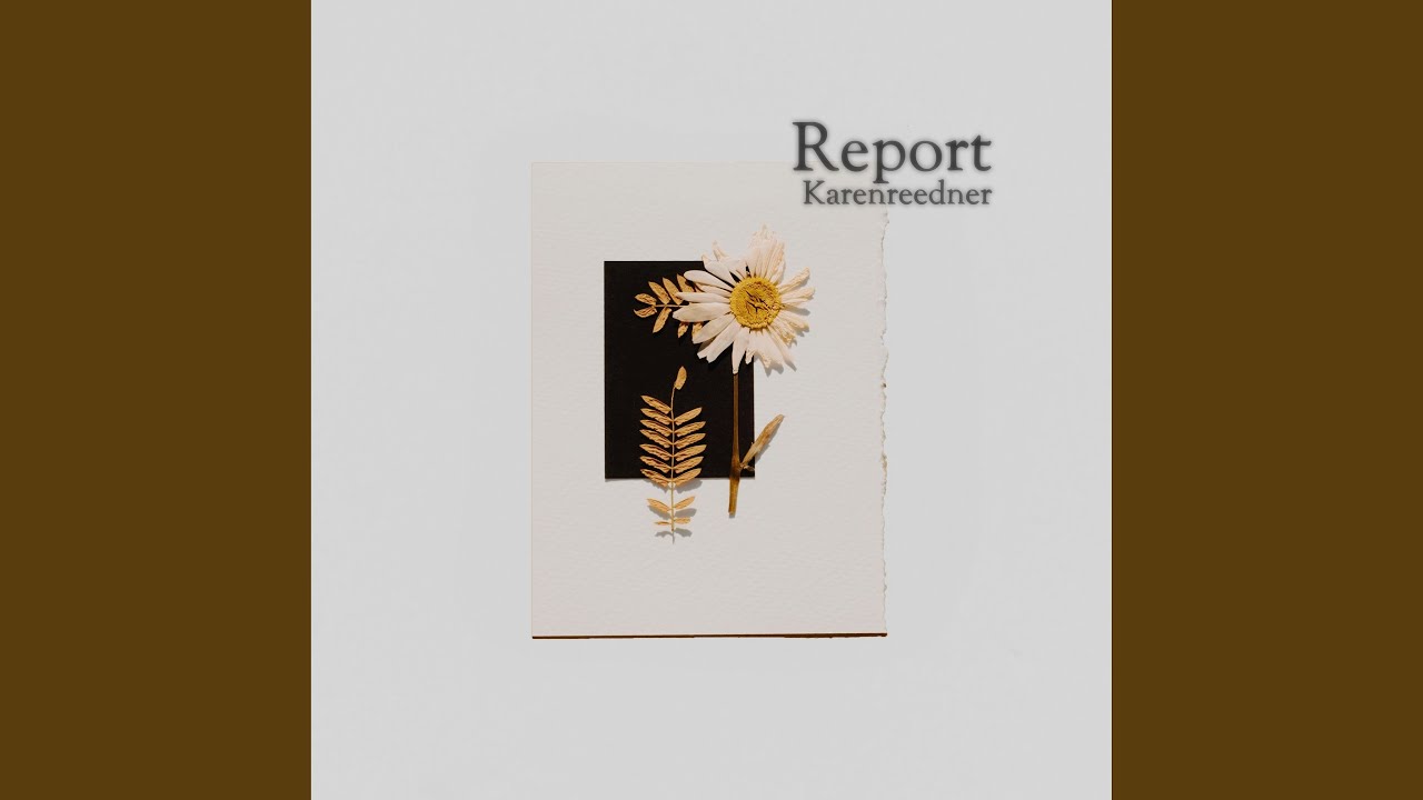 Raport