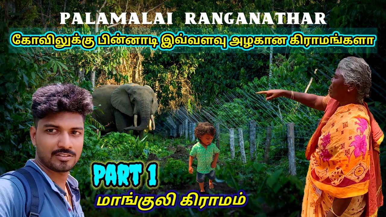 Palamalai Ranganathar Temple Coimbatore | Manguli Village | Tamil Territory #hills #palamalai