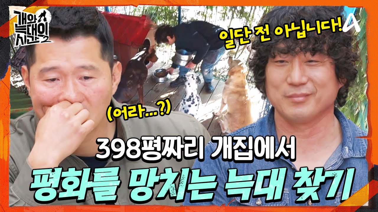 [#개와늑대의시간2] 398평 견사 등장?!💥 개들의 네버랜드를 흔드는 후크선장은 누구?☠️ | 개와 늑대의 시간 시즌2 5회