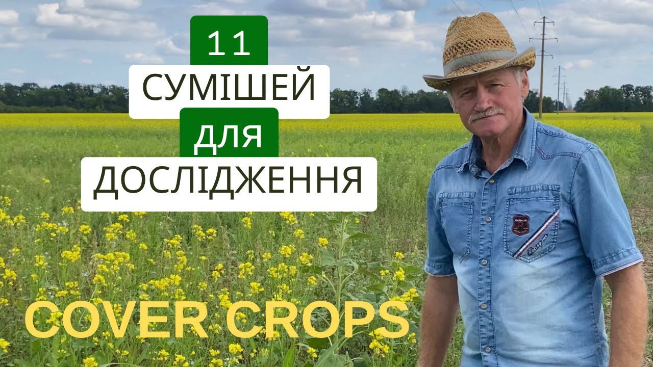 Михайло Войтовик випробовує суміши покривних культур