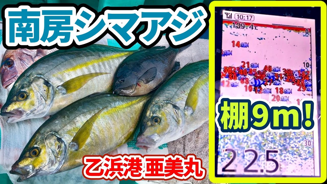 【南房シマアジ】良型連荘‼️手返しと高棚で食わせる👊【乙浜港亜美丸】