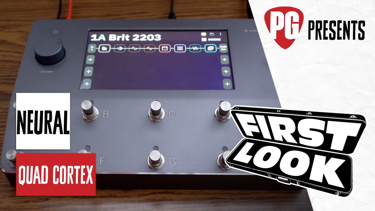 Демонстрация нейронной коры головного мозга &mdash; первый взгляд