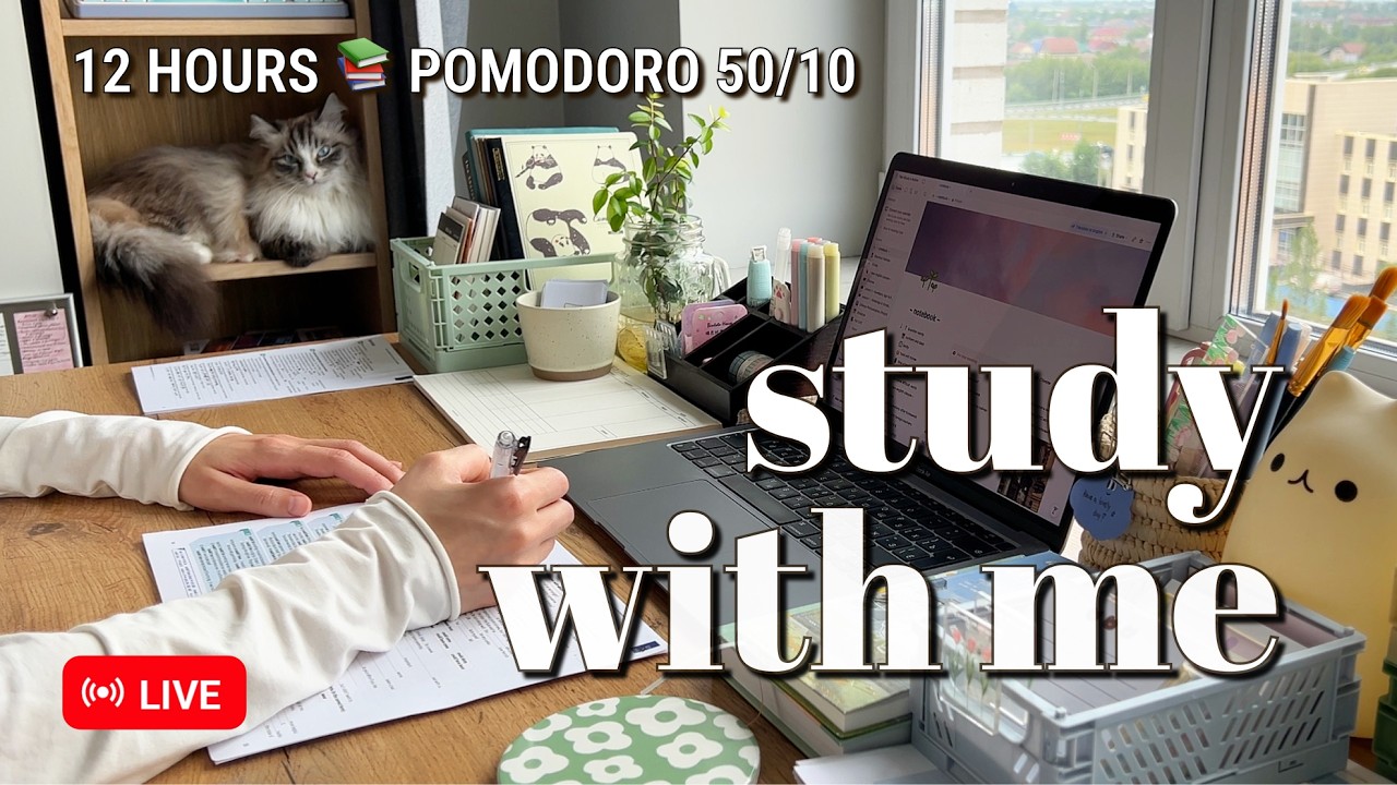 Challenge &bull; 12 HOURS &bull; STUDY WITH ME ☔️ Rain Ambience for Best Focus | Pomodoro 50/10