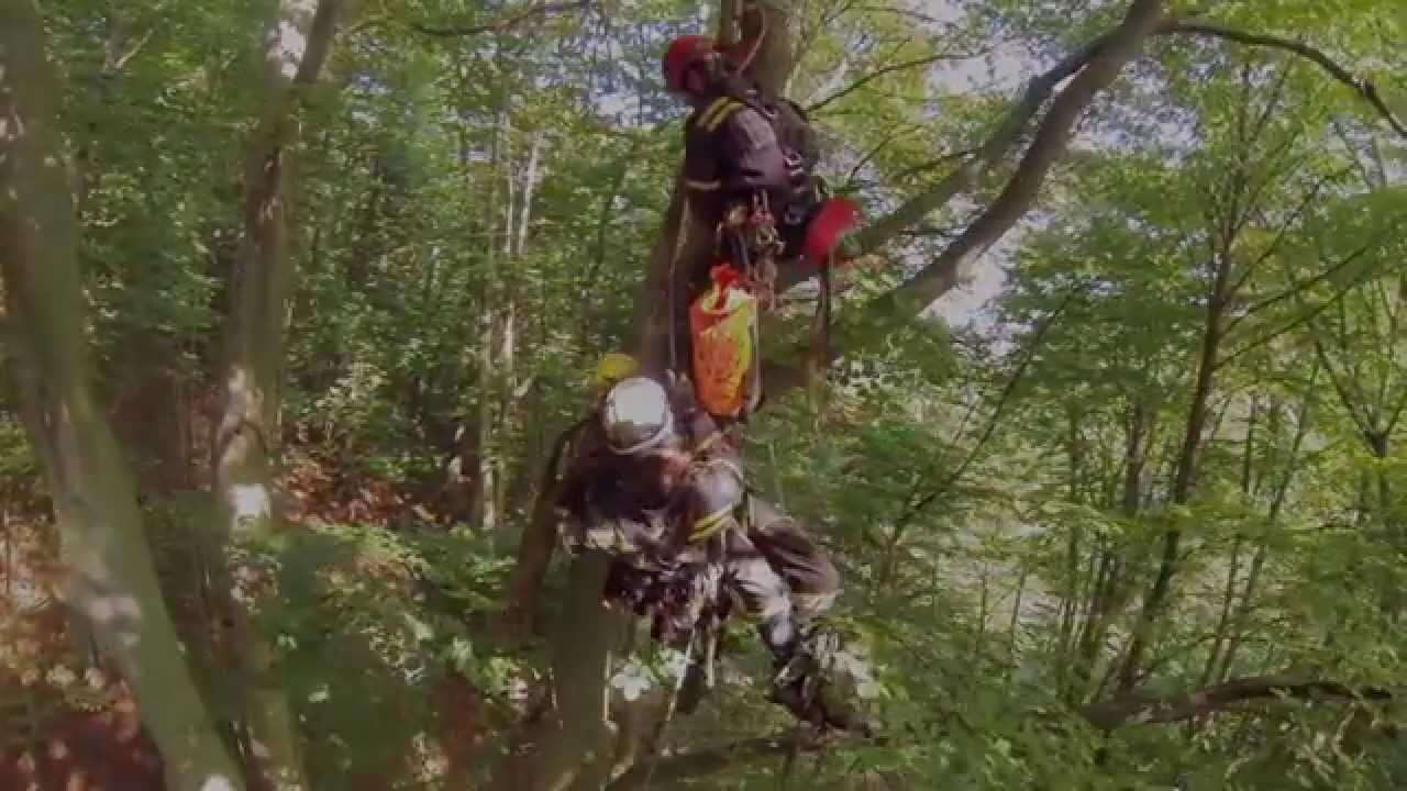HASIČI RESCUE - Záchrana zraněného ze stromu