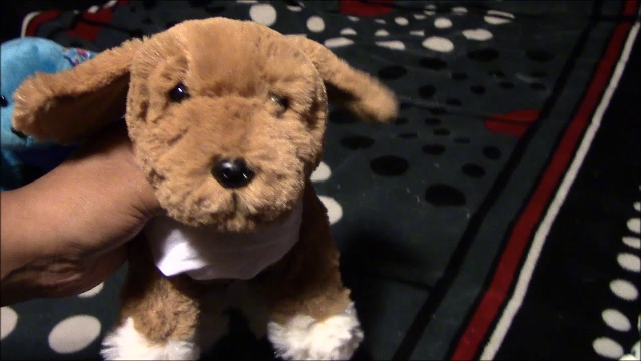 ✨Webkinz Cockapoo Package💫