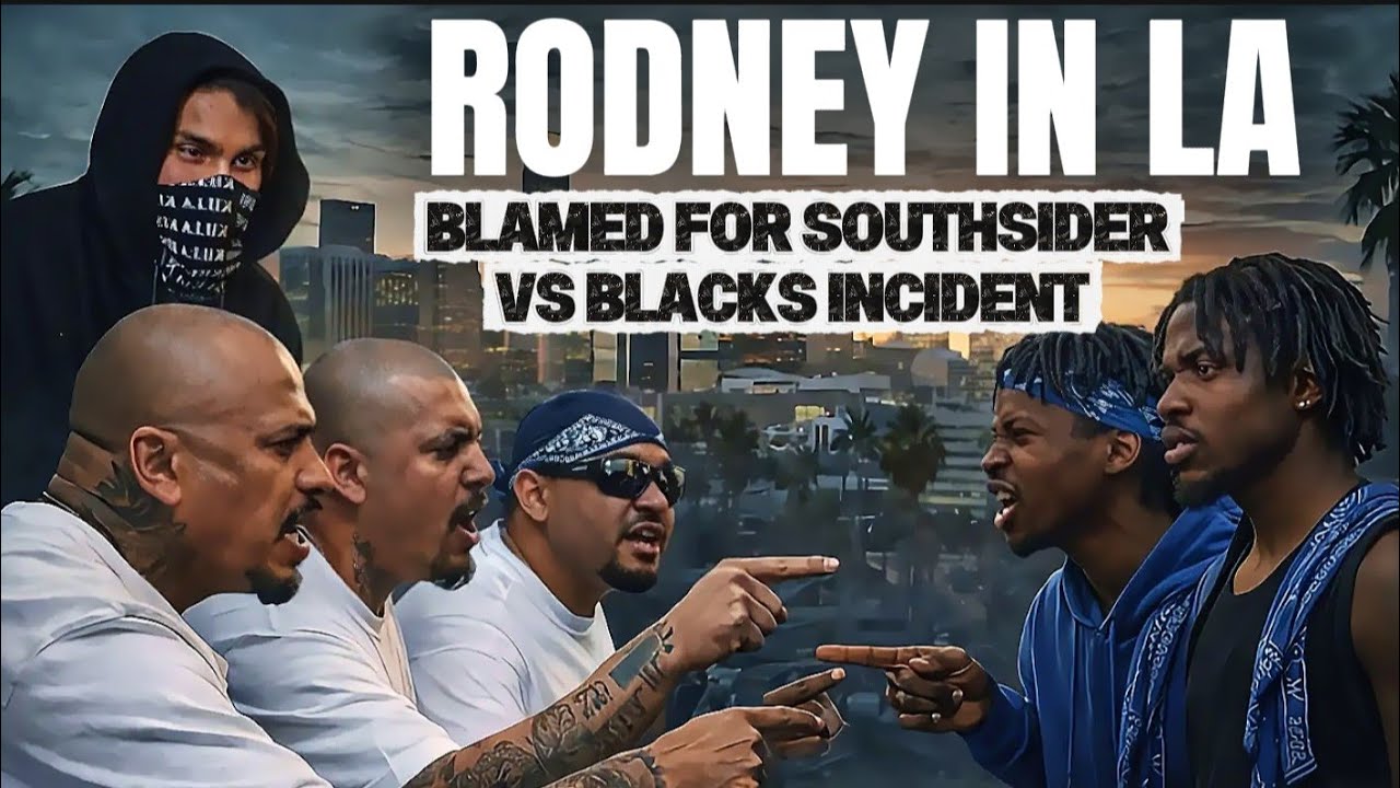 HOOD VLOGGER RODNEY IN LA BLAMED FOR THE SOUTHSIDER AND BLACK INCIDENT  ??