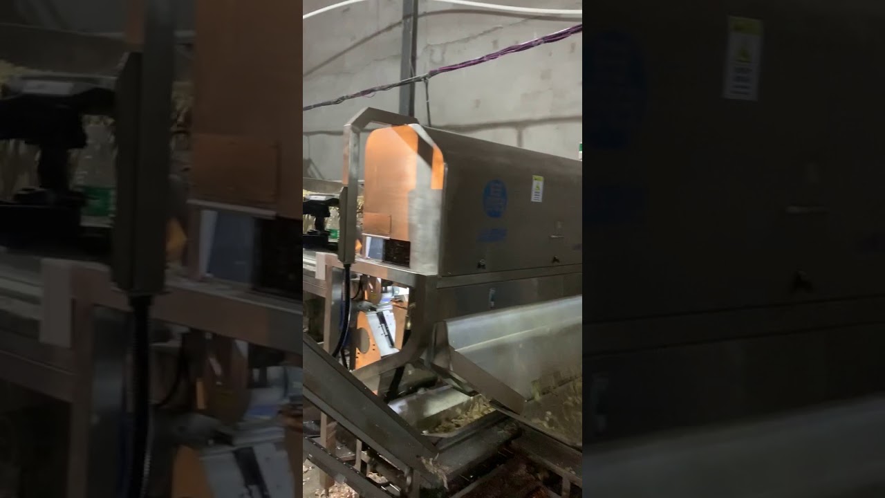 The color sorter applied to garlic processing