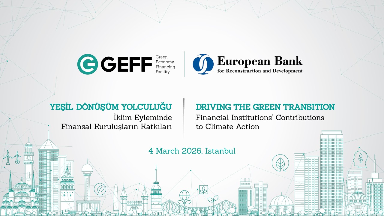Driving the Green Transition: Financial Institutions` Contributions to Climate Action