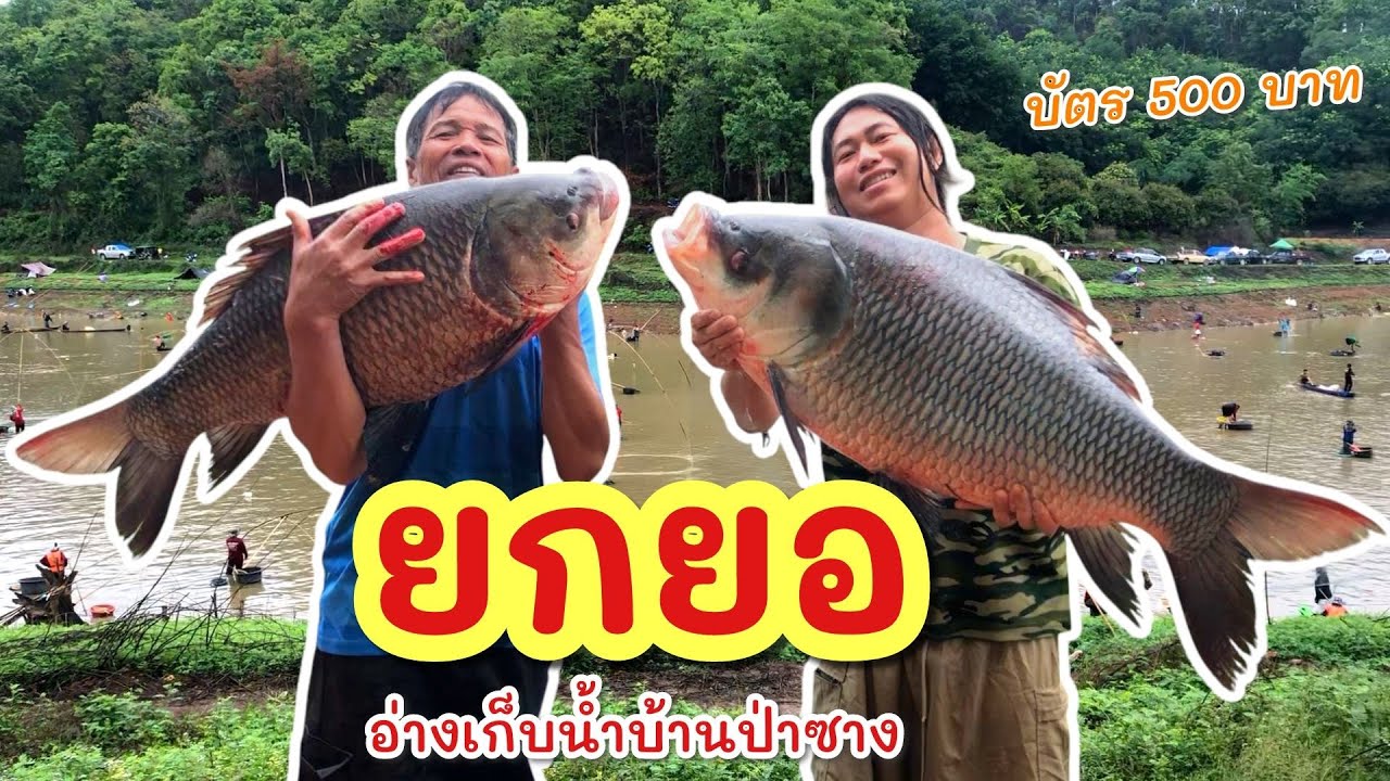 ยกยอ อ่างป่าซาง ►Fishing lifestyle Ep.826