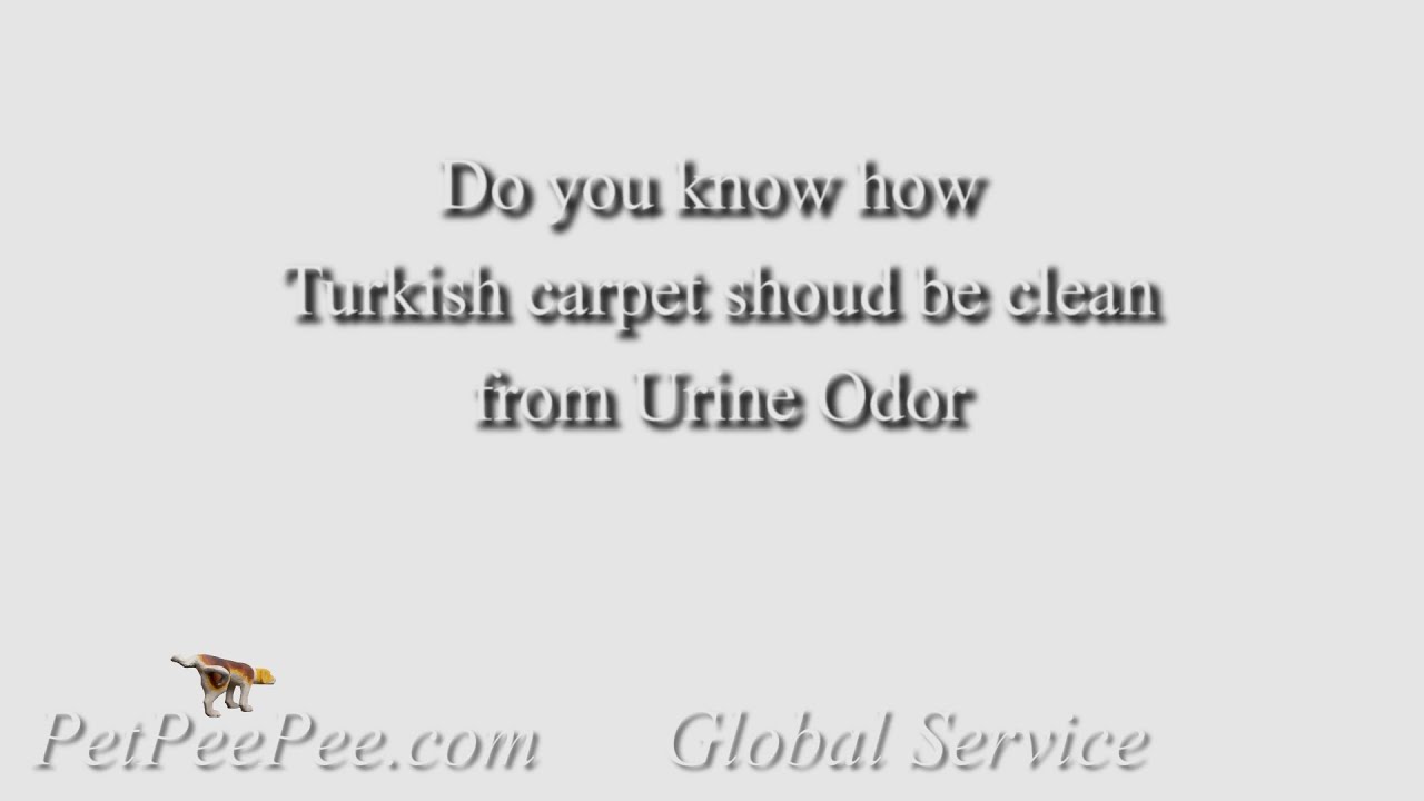 Do you Know how Turkish rug should be clean from urine odor