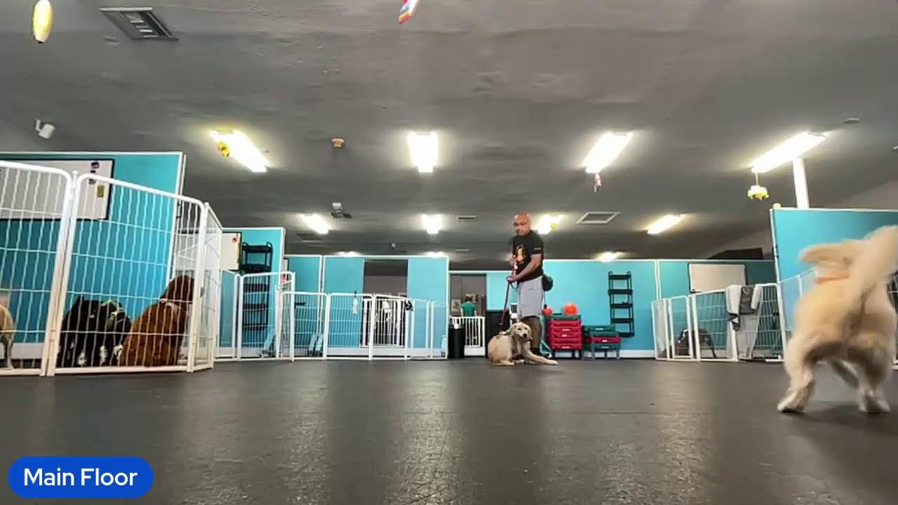 Wednesday Septemeber 10th