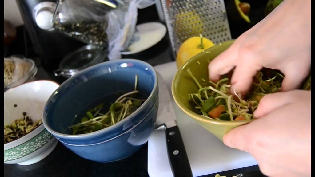 Salada de Biovivos com germinados de feijão mungo