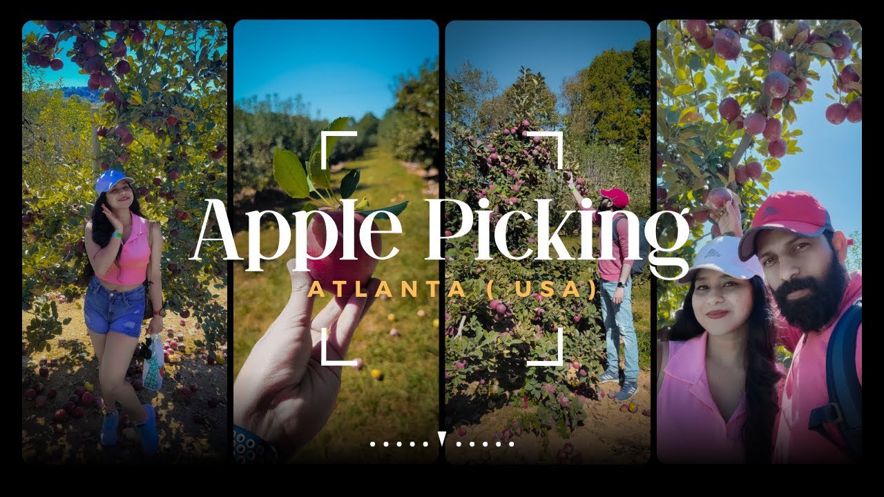 Apple picking 🍎 || Atlanta || USA || the_curlywayfarer