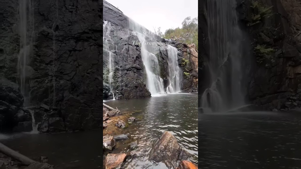 Spring in the Grampians #nationalpark #wildflowers #hiking