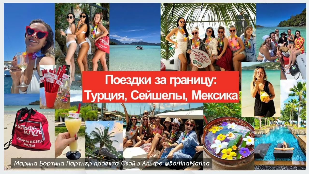 Презентация проекта Свой в Альфе 