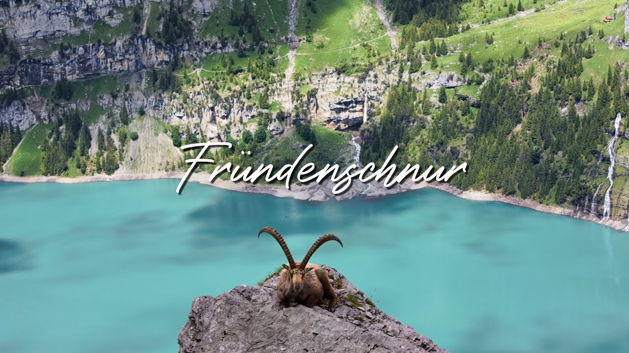 Terrifying or Beautiful? Fründenschnur Hike Above Lake Oeschinen | Ibex Colony on the Path