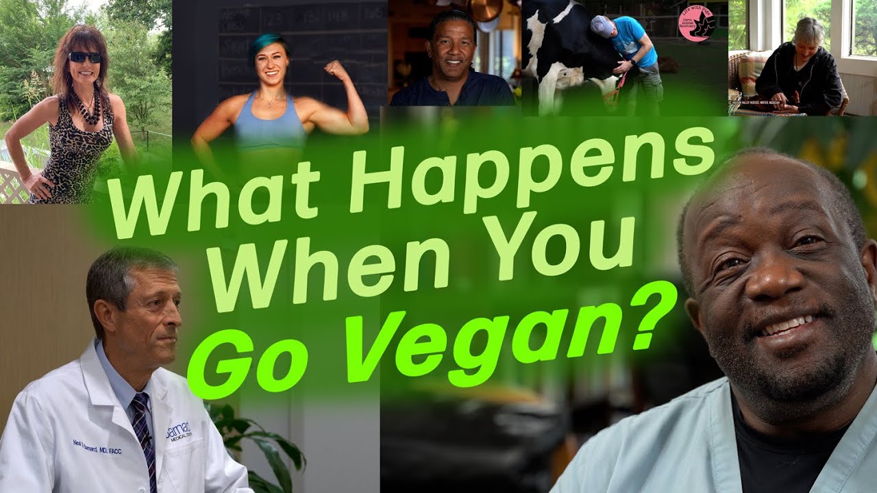 What Happens When You Go Vegan?  Series 1 Compilation