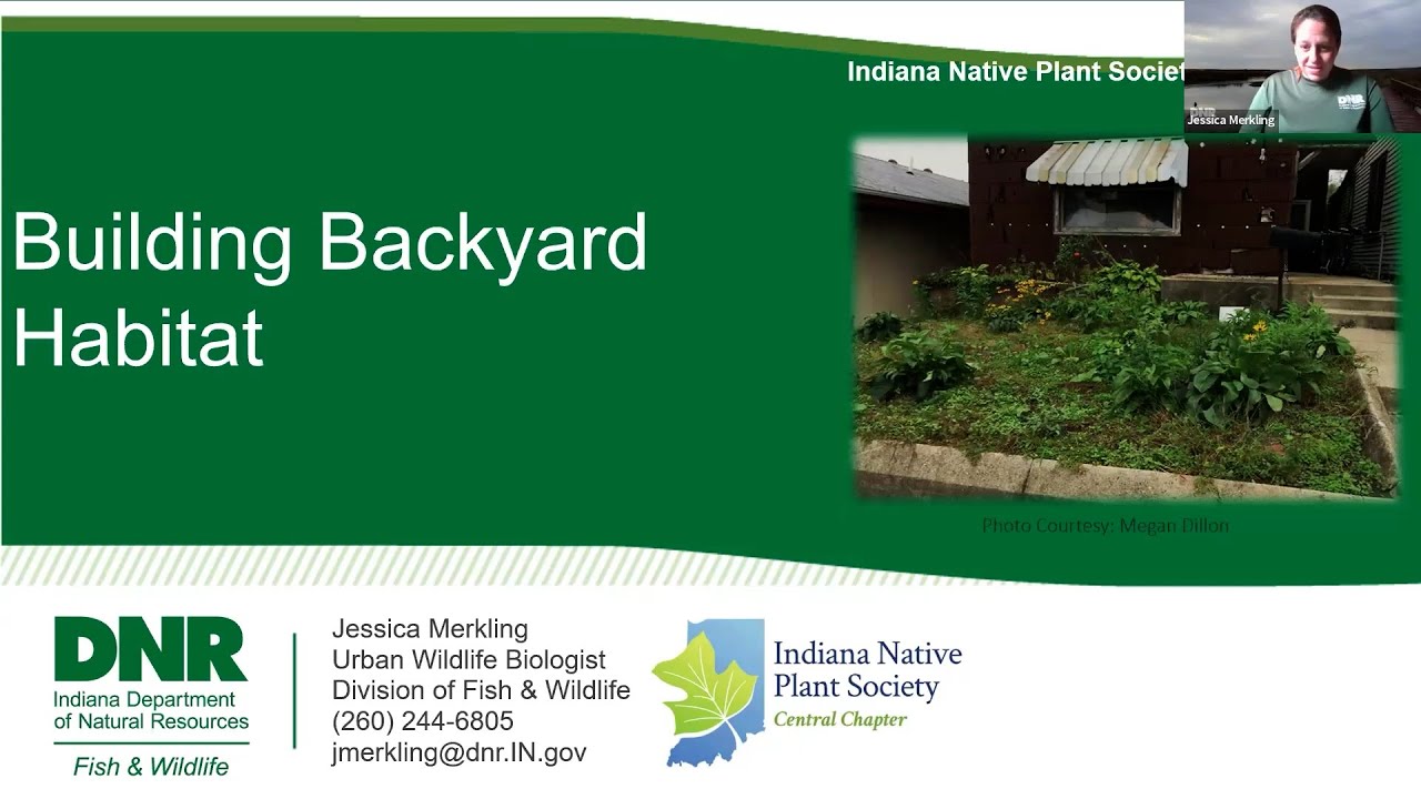 Building Backyard Habitat, with Jessica Merkling