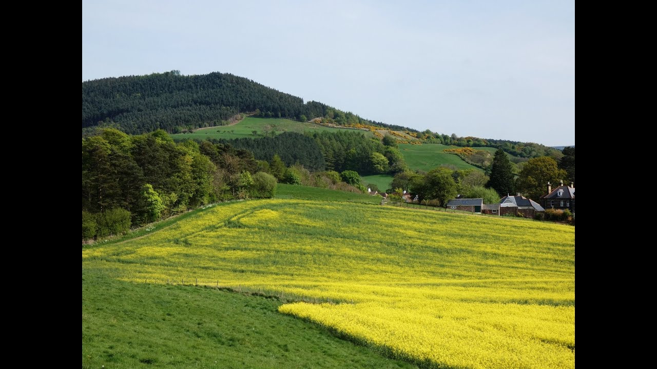 North York Moors Country Walk   Great Ayton to Little Ayton and Cliff Ridge Wood Bluebells round