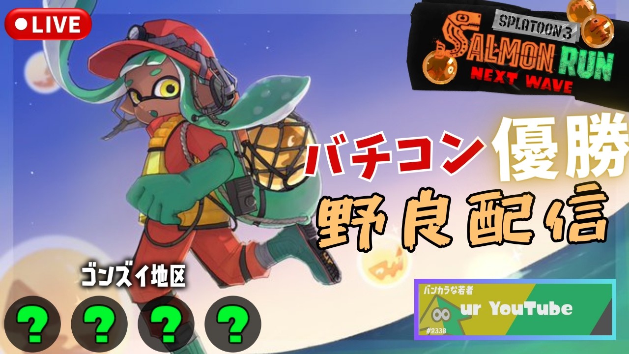 【サーモンランNW】野良　ビッグラン