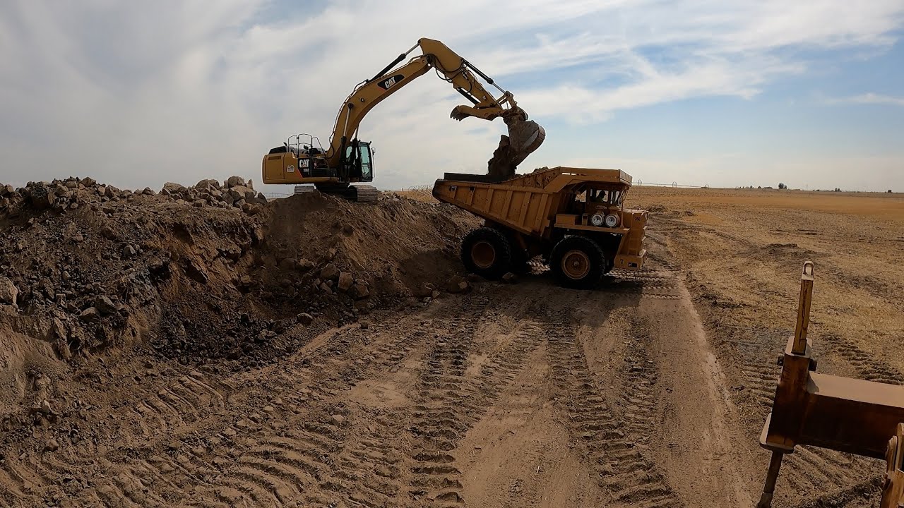 The Buzzin Duzzin To The Rescue