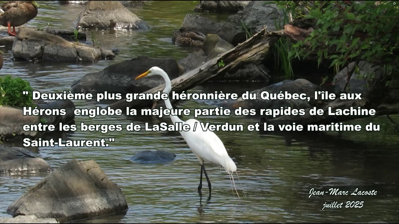 Vidéo fin juillet 2025 ( 3 minutes 20 )