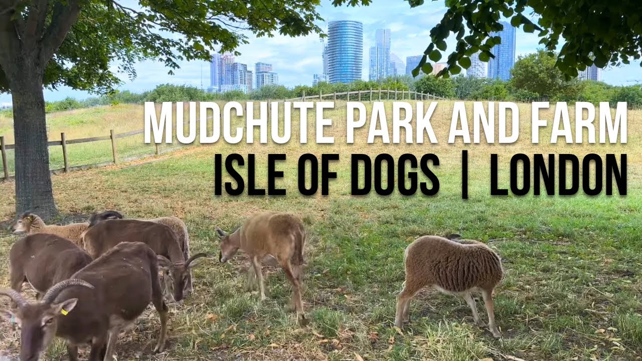 Mudchute Park and Farm | Isle of Dogs
