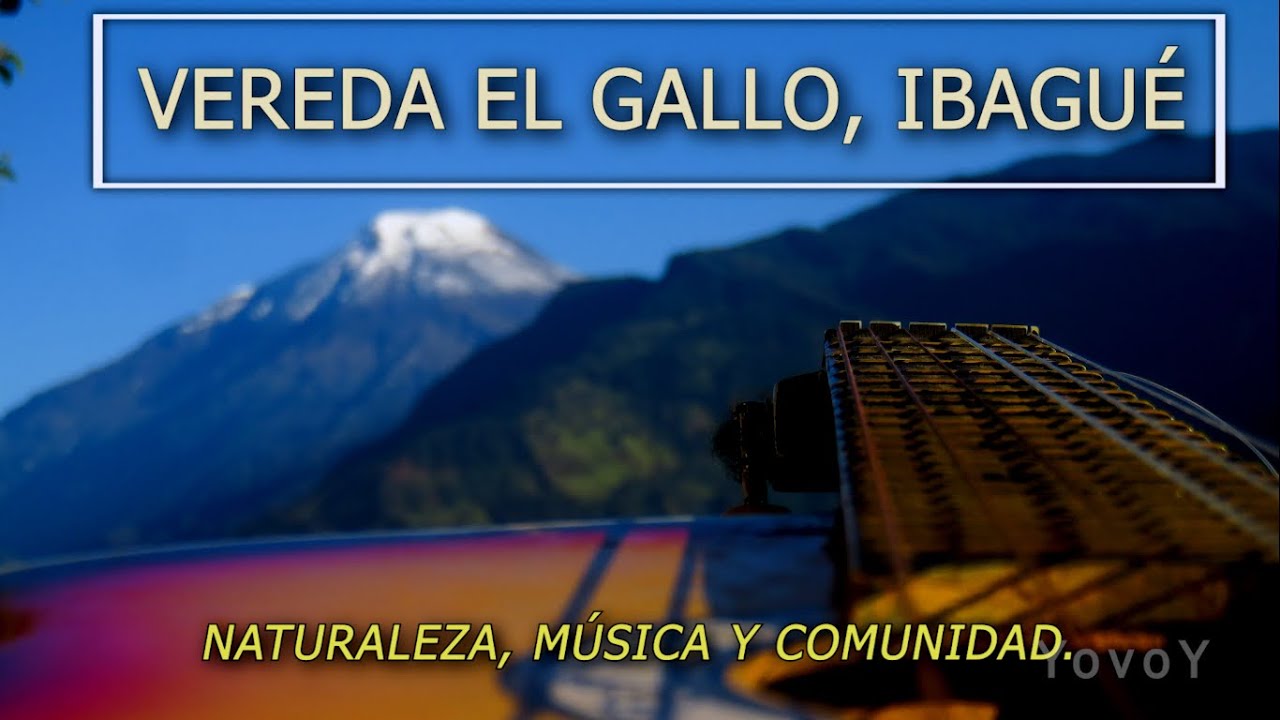 Vereda El Gallo, Ibagué -  Voluntariado y Biblioteca Campesina