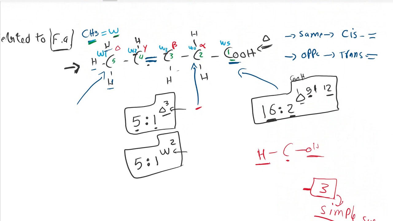 lipid chemistry (revision) - Dr. Mahmoud Ettaweel