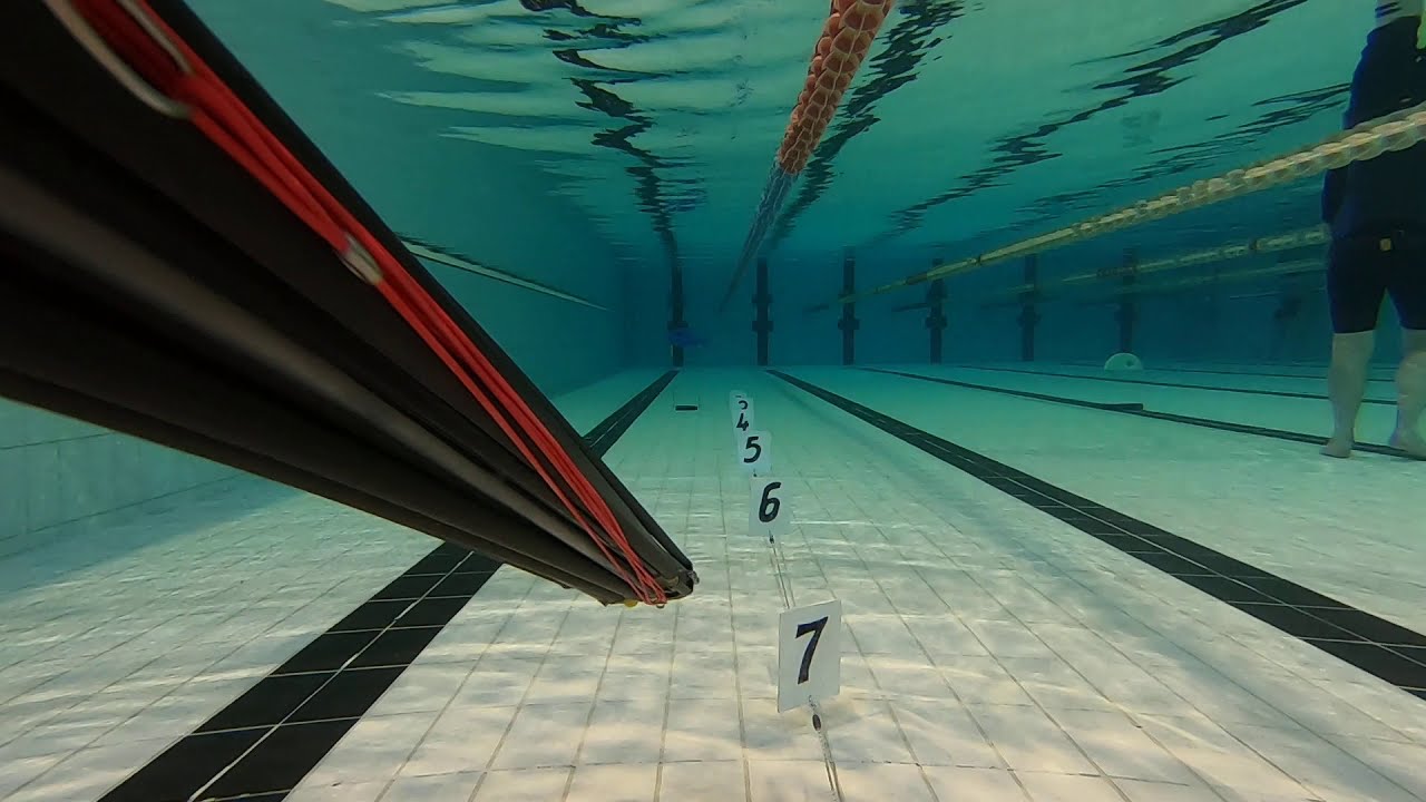 Alemanni  rollergun - 120 doppio roller full carbon - spearfishing test