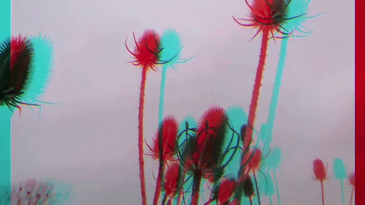 Ochre - Quercer (Traum V306)