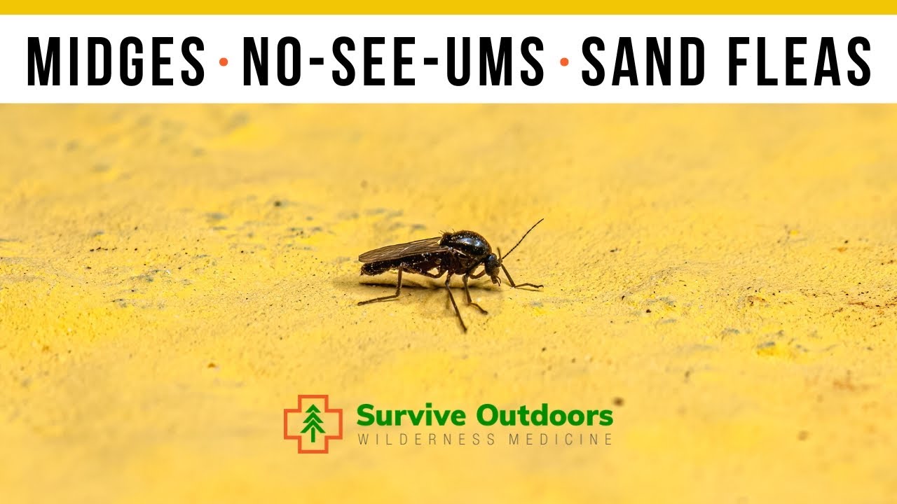 What are No See-Ums?