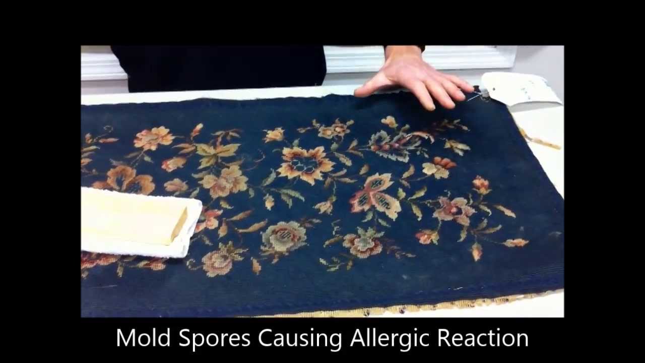 Antique Needlepoint Upholstery Cleaning Boston