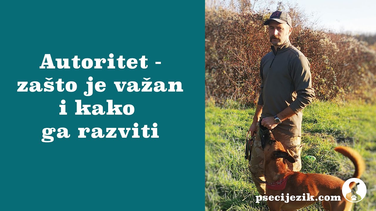 Autoritet - za&scaron;to je važan i kako ga razviti?