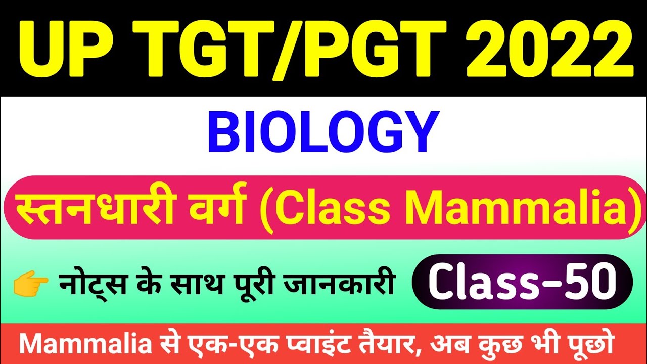 स्तनधारी वर्ग (Class Mammalia) | mammalia | mammals | standhari | classification and characteristics