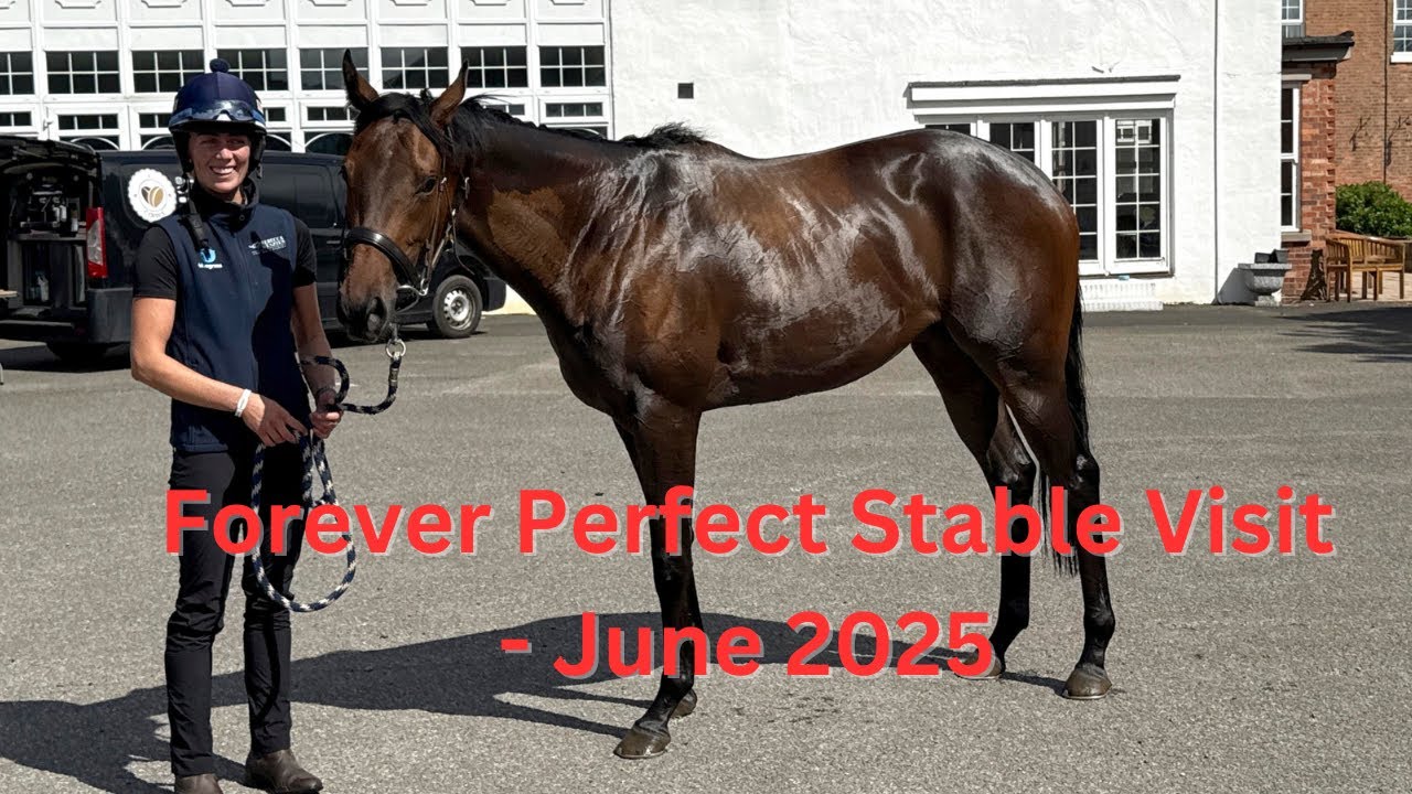 Stable visit to see Forever Perfect at Rebecca Menzies Yard