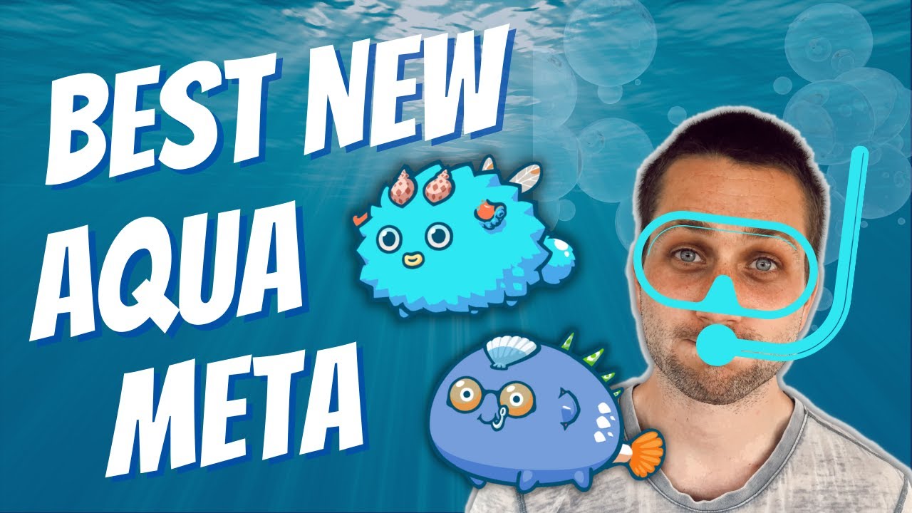 BEST NEW DOUBLE AQUA BUILD!! | AXIE INFINITY
