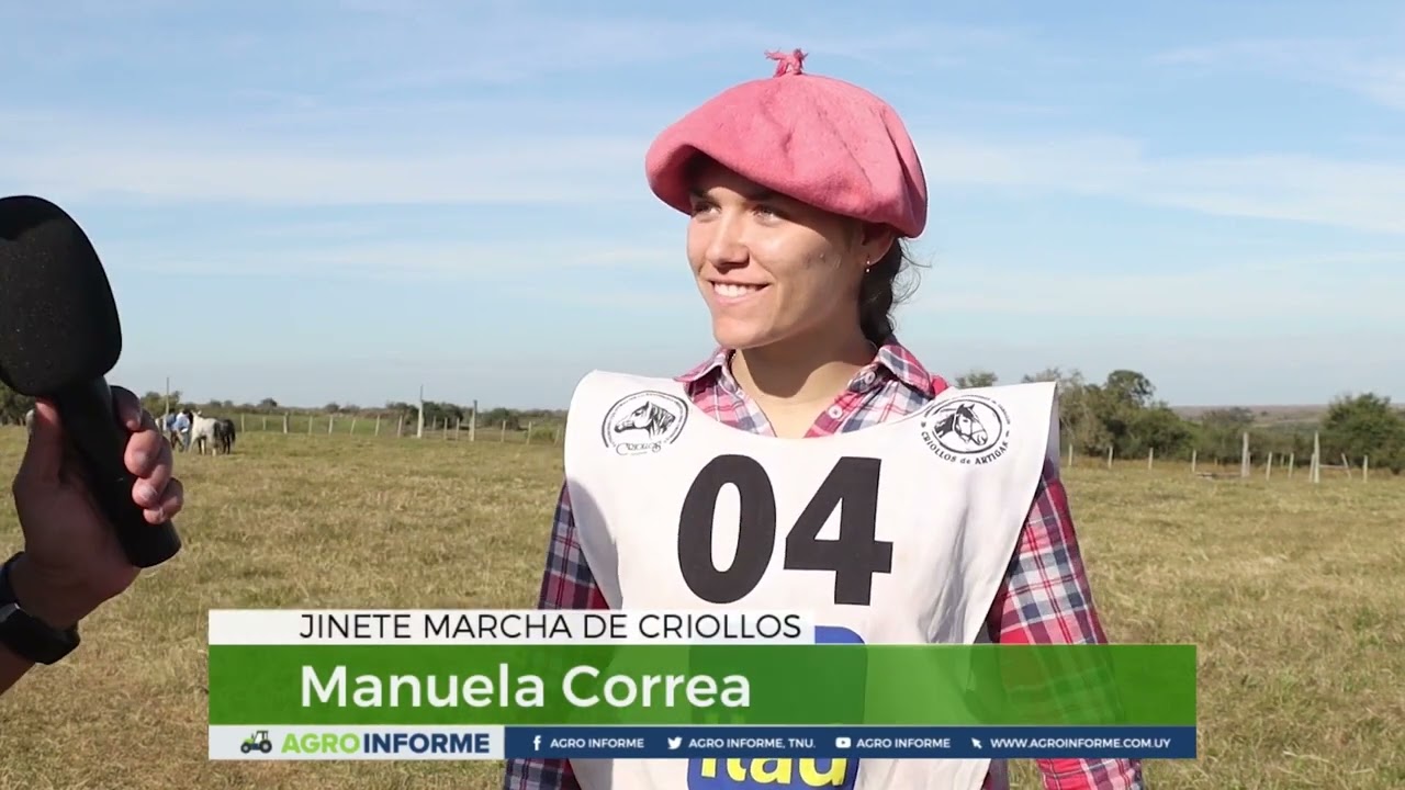 CABALLOS CRIOLLOS- MARCHA FUNCIONAL