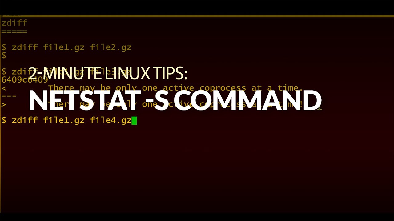How to use the netstat-s command