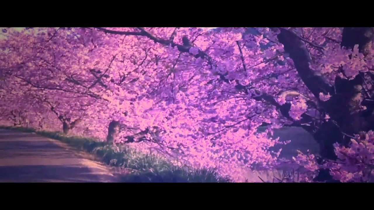 周慧敏 Vivian Chow - 回轉