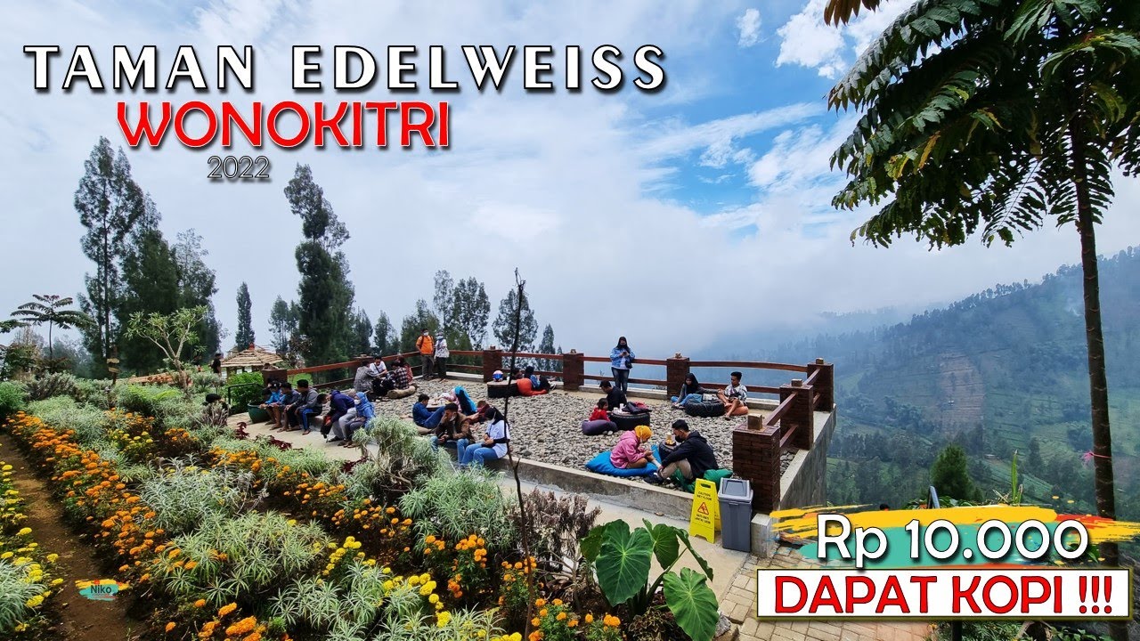 Taman EDELWEISS Wonokitri asli KEREN !!! sebelum ke BROMO mampir sini dulu