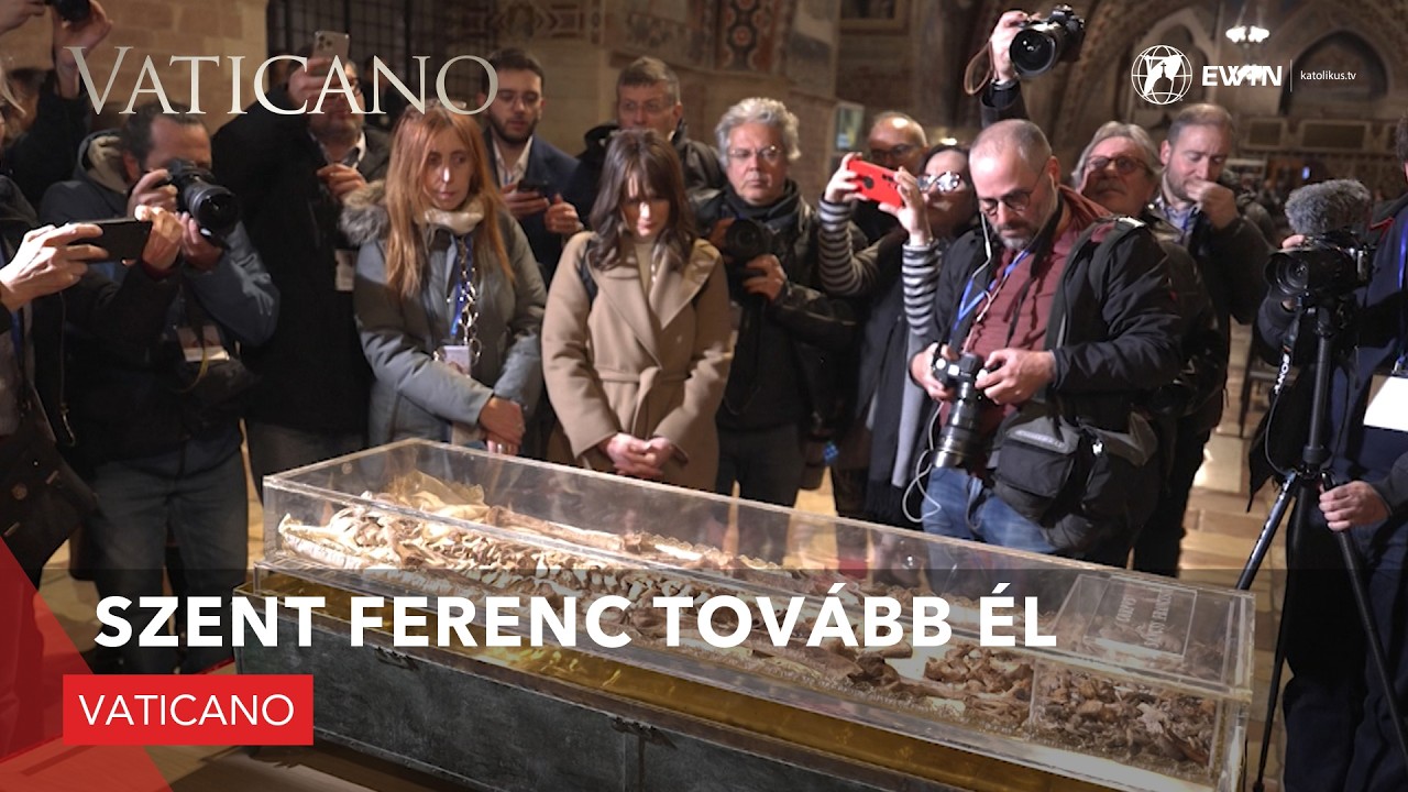 Szent Ferenc tovább él - Vaticano