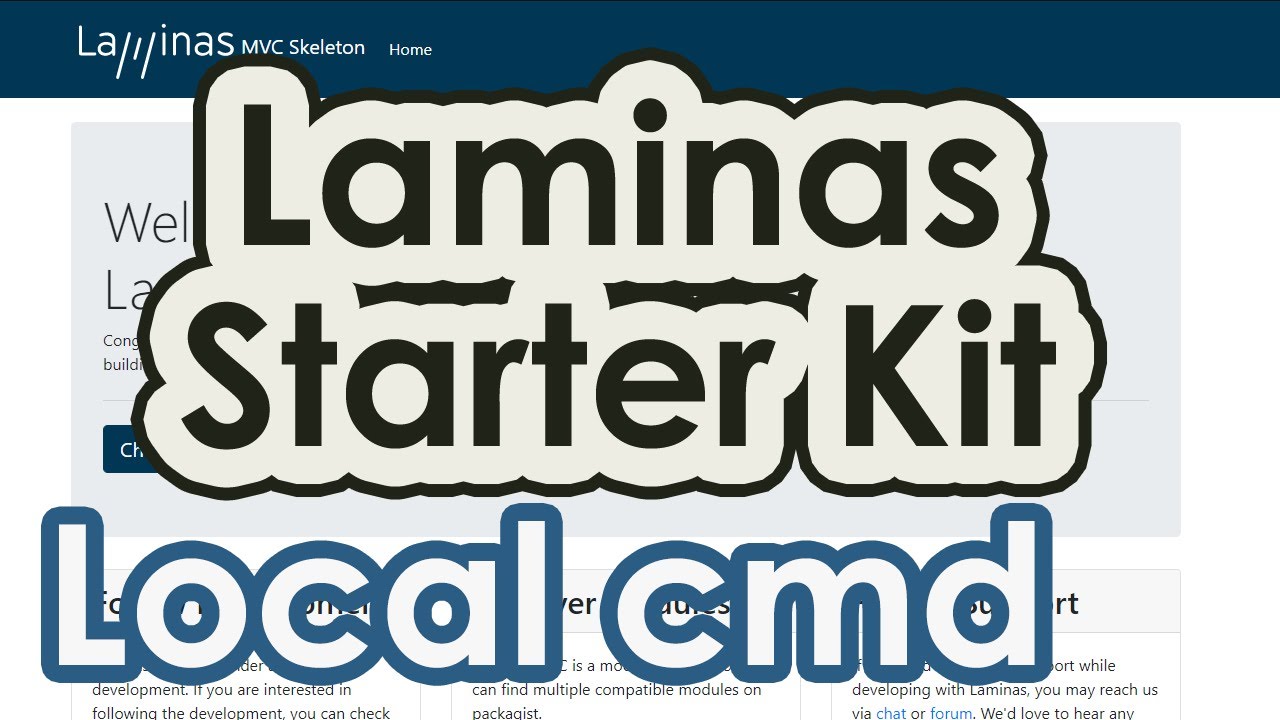 Setup local commands from Laminas Starter Kit