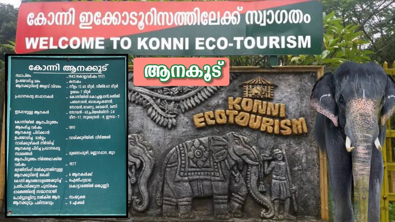 Konni Eco Tourism Konni Elephant Camp |കോന്നി ആനക്കൂട്ടിലെ വിശേഷങ്ങൾ