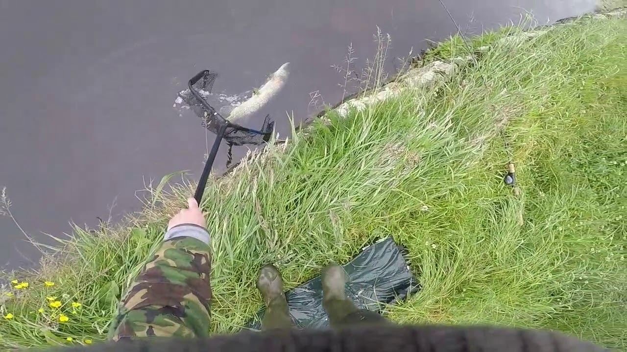 Lancaster  canal  ( Glasson Dock) fishing for pike.
