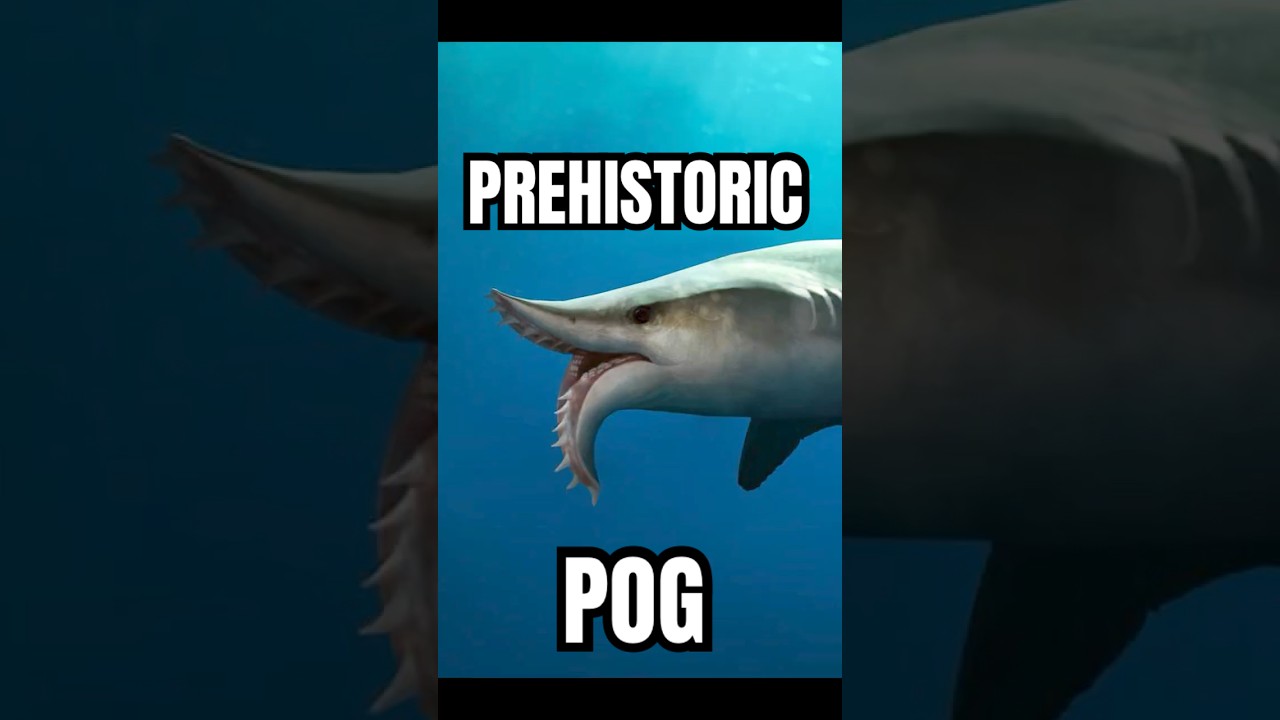 Sharks are ANCIENT