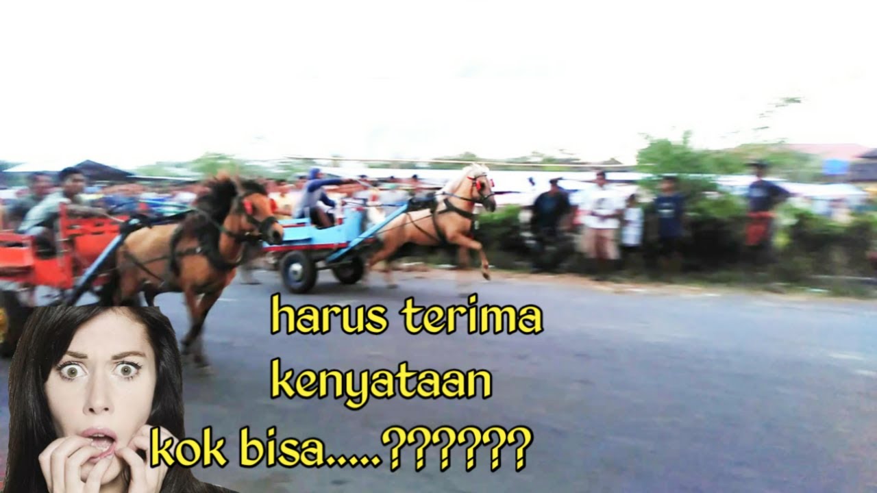 berlari secepat kilat || balap kuda jawara tradisi sasak lombok
